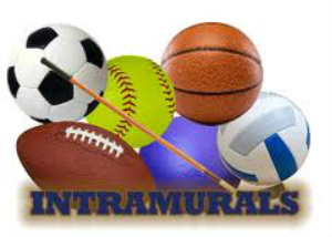 2018-2019 ASM Intramurals 